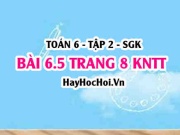 Bài 6.5 trang 8 Toán 6 Tập 2 Kết nối tri thức